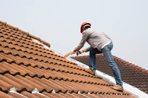 Steel Roofing in Eastlawn Gardens, PA